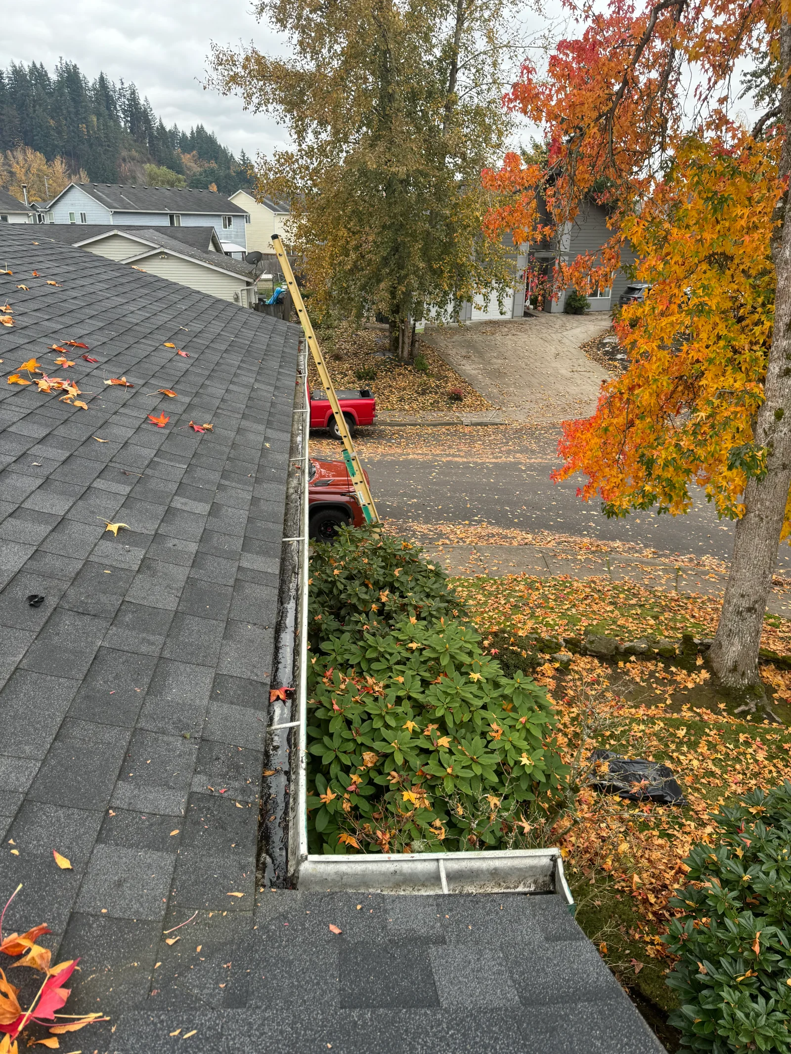 Aluminum gutter installation on asphalt shingle roof with fall leaf debris removal