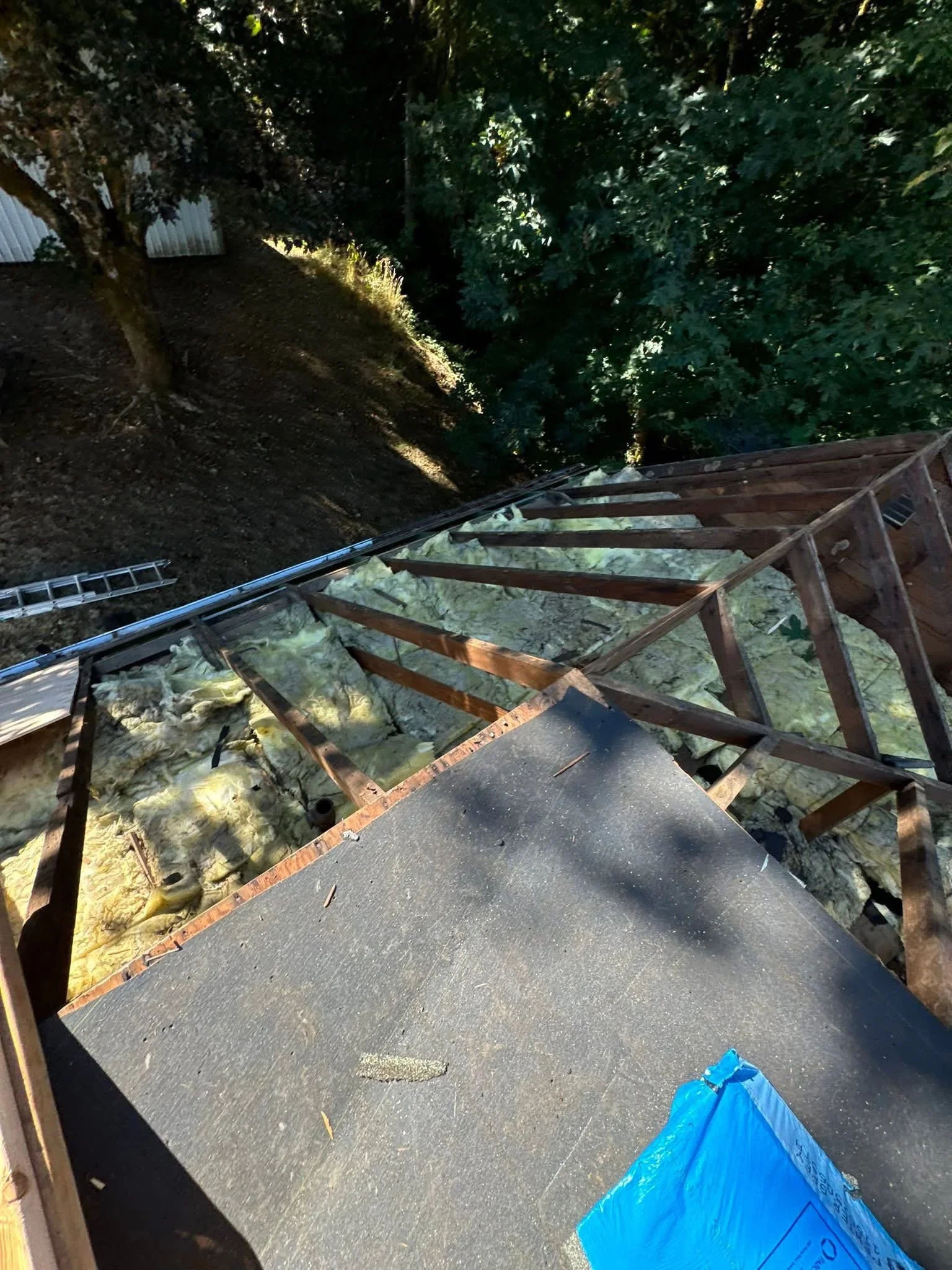 Wooden roof trusses and framing members over prepared substrate with protective sheeting