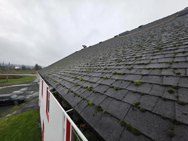 Gray asphalt shingle roof installation on steep pitched roof with white fascia trim